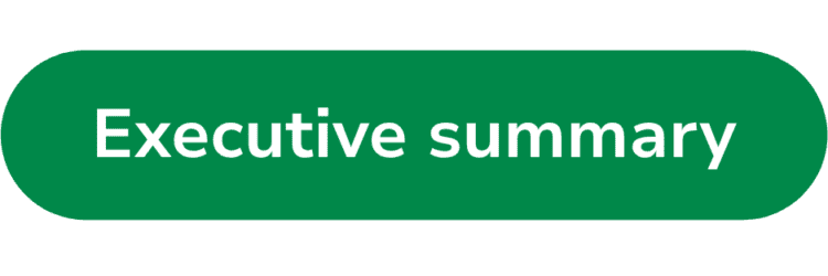 Executive summary